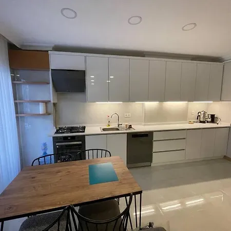 Apartment Excellant Flat 3+1 Near Fatih Mosque *